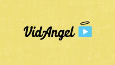 VidAngel logo